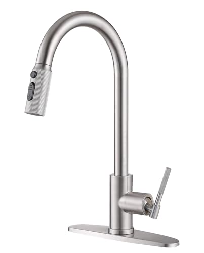 Best 2.2 Gpm Kitchen Faucet