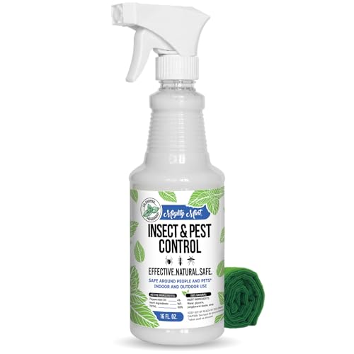 Best Ant Spray for Kitchen