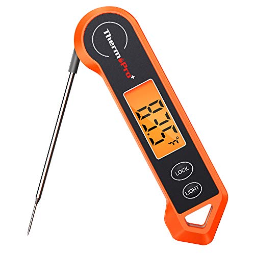 Best Cooking Thermometer America'S Test Kitchen