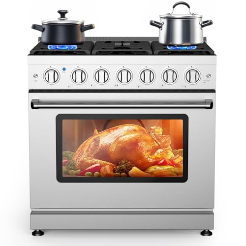 Best Dual Fuel Kitchen Ranges