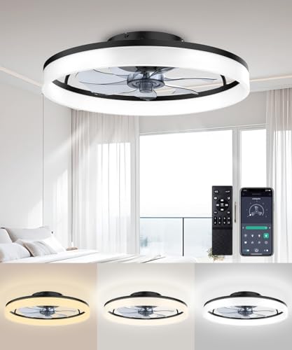 Best Kitchen Ceiling Fan