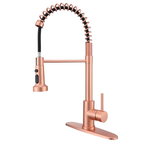 Best Kitchen Faucet Reddit
