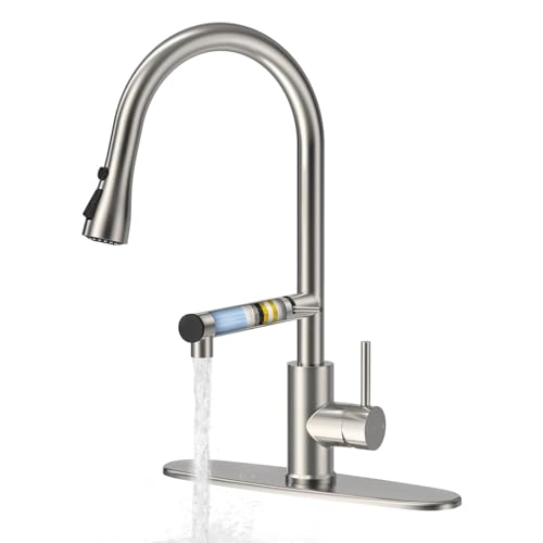 Best Kitchen Faucet With Water Filter