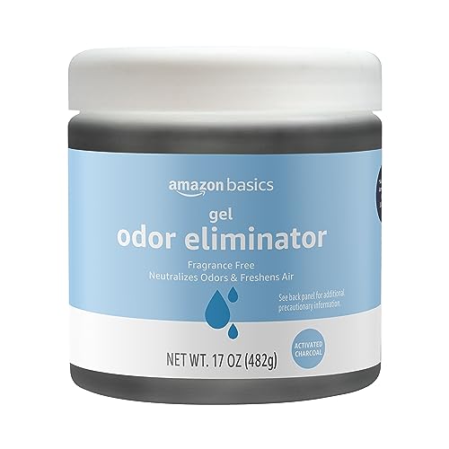 Best Kitchen Odor Eliminator