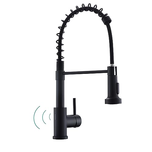 Best Matte Black Touchless Kitchen Faucet