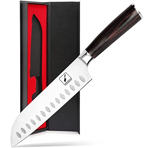 Best Santoku Knife America'S Test Kitchen