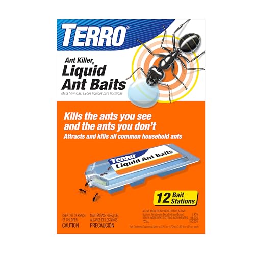 Best Way to Kill Ants in Kitchen
