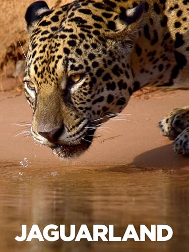 Beyond Sweet Kitchen And Bar Reviews