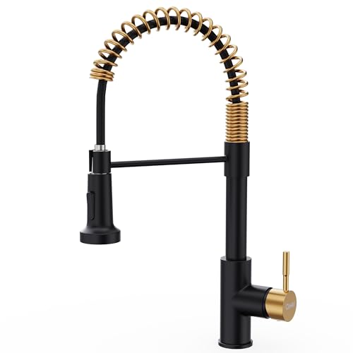 Black And Gold Kitchen Faucet