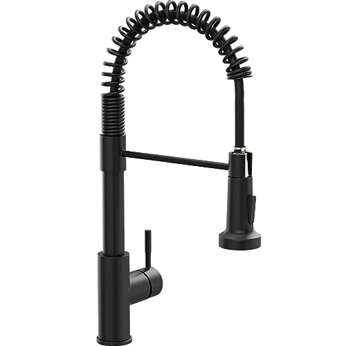 Black Kitchen Sink Faucet