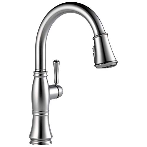 Delta Cassidy Kitchen Faucet