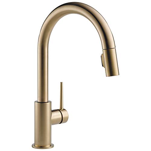 Delta Trinsic Kitchen Faucet