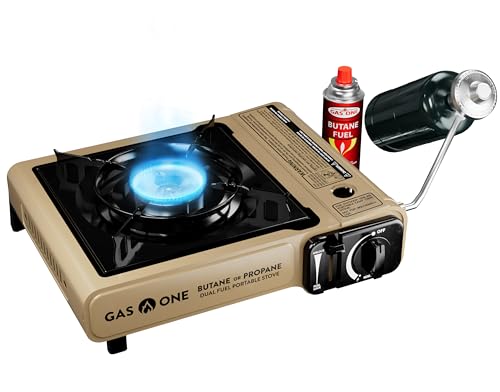 Dual Fuel Kitchen Stove
