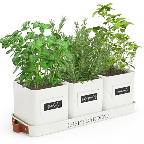 Herb Pots for Kitchen