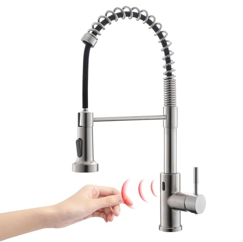 Home Depot Kitchen Faucet With Sprayer
