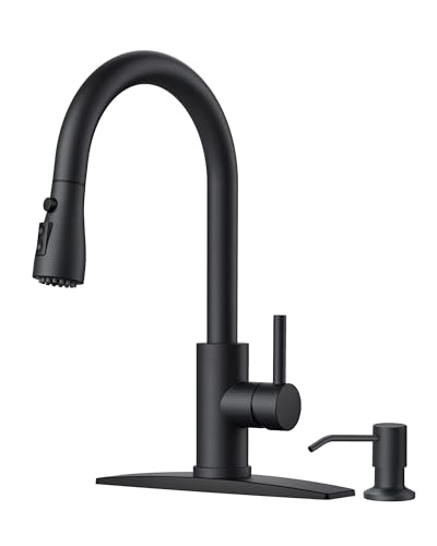 Kitchen Faucet With Soap Dispenser