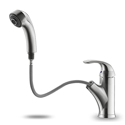 Kitchen Sink Faucet With Pull Out Sprayer