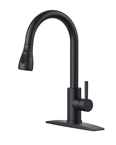 Matte Black Kitchen Faucet